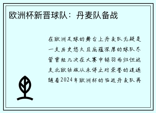 欧洲杯新晋球队：丹麦队备战