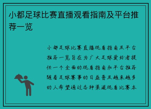 小都足球比赛直播观看指南及平台推荐一览